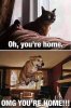 FB_IMG_1614177495495.jpg