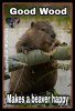 FB_IMG_1614511628824.jpg