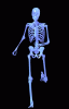 9fa796712cad32b82708a25e341445ca.gif