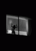 tumblr_mxglm4wsgK1qg39ewo1_500.gif