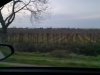 20210408_203555_resize_49.jpg