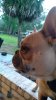 IMG-20210415-WA0000.jpeg