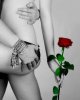 20966c2b67f352ab20703f5dc6961840--sexy-color-splash-nice-photos.jpg
