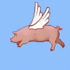 8A4A28D7-63BD-4250-85D4-F4A8D8DA3F88.gif