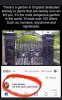FB_IMG_1620860786247.jpg