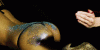 12120ECD-05FD-4DF9-AF77-D3B29EA12E73.gif