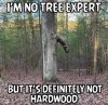 FB_IMG_1608889591071.jpg