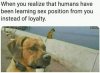 FB_IMG_1623041808225.jpg