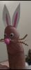 Screenshot_20210726-184055.jpg