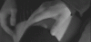 tenor (12).gif