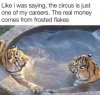 FB_IMG_1628040288712.jpg