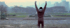 200.gif
