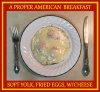 A 1 A A EGGS FRIED 11.jpg