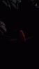 20211017_022754_1.gif