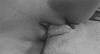 15197275.gif