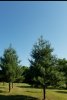 20180610_084234.jpg