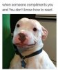 FB_IMG_1635615866316.jpg