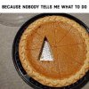 FB_IMG_1637852783653.jpg