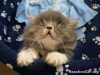 Oh-not-again-GIF.gif