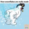 FB_IMG_1643801828315.jpg