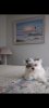 Screenshot_20220220-082530_Gallery.jpg