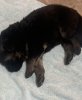 upload_2022-3-11_10-35-37.jpeg