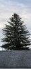 20220319_180331.jpg