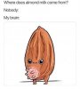 FB_IMG_1648555562216.jpg