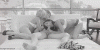 38432.gif