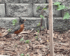 ED472B68-25E0-4AFA-8B3F-3A0A1625714F.gif
