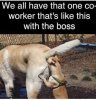 FB_IMG_1652626995038.jpg