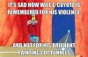 FB_IMG_1652740027746.jpg