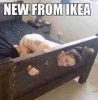 FB_IMG_1652782521798.jpg