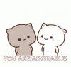 EF22D771-9757-4158-BF3A-4B2F323B9A53.gif
