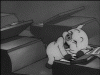 BBCD91E4-5E6B-429E-9584-ECFD2623496A.gif