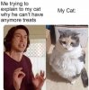 FB_IMG_1655155803516.jpg