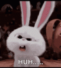 upload_2022-6-23_17-20-56.gif