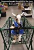 fb17706d08f56ce7aa6ac82027dfae96.jpg