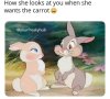 FB_IMG_1661642753531.jpg