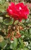 20220706_103634.jpg