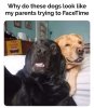 FB_IMG_1673195584699.jpg
