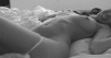 31170.gif