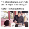 vegan1.png