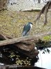 FB_IMG_1673992637290.jpg