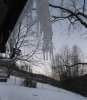 winter's hand.JPG