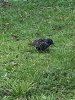 E0258A80-0107-4A6F-A9AA-F6E6BC163E69.jpeg