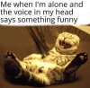 FB_IMG_1677480128618.jpg