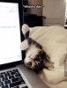 193355-Whatcha-Doin-.jpg