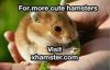FB_IMG_1679315279214.jpg