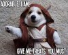 FB_IMG_1679147766363.jpg